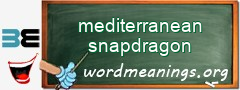 WordMeaning blackboard for mediterranean snapdragon